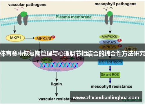 体育赛事恢复期管理与心理调节相结合的综合性方法研究