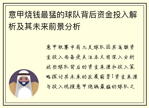 意甲烧钱最猛的球队背后资金投入解析及其未来前景分析